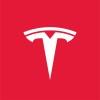 Tesla Company logo on Dataaxy