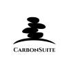CarbonSuite Company logo on Dataaxy