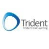 Trident Consulting Company logo on Dataaxy
