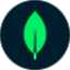 MongoDB Company logo on Dataaxy