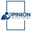Opinion Focus Panel LLC Company logo on Dataaxy